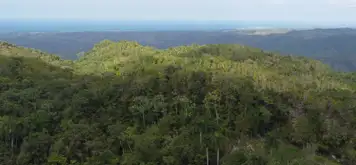 Image related to Image related to Cable Car