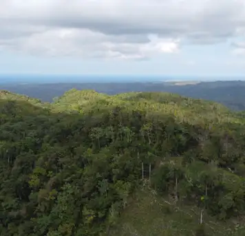 Image related to Image related to Cable Car