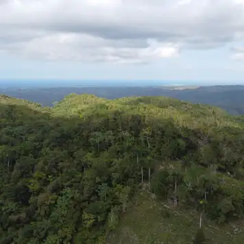 Image related to Image related to Cable Car