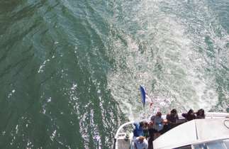 Image related to Secret Special Cruise! Captivating Rhine Festive Delights from Amsterdam