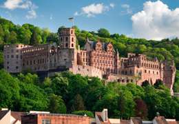 IgluCruise.Application.ViewModels.Shared.WebImageViewModel?.Description