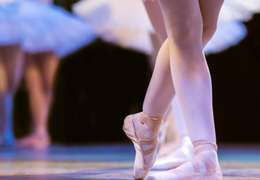 IgluCruise.Application.ViewModels.Shared.WebImageViewModel?.Description