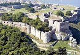 IgluCruise.Application.ViewModels.Shared.WebImageViewModel?.Description