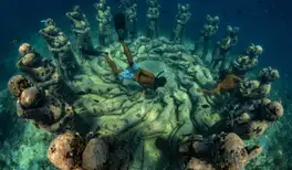 Image related to Snorkelling