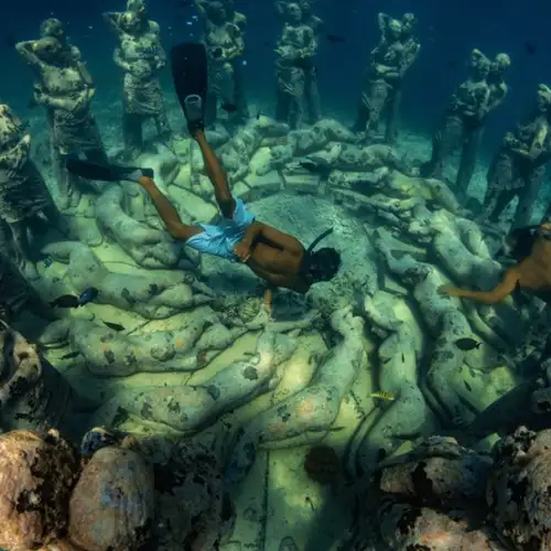 Image related to Snorkelling