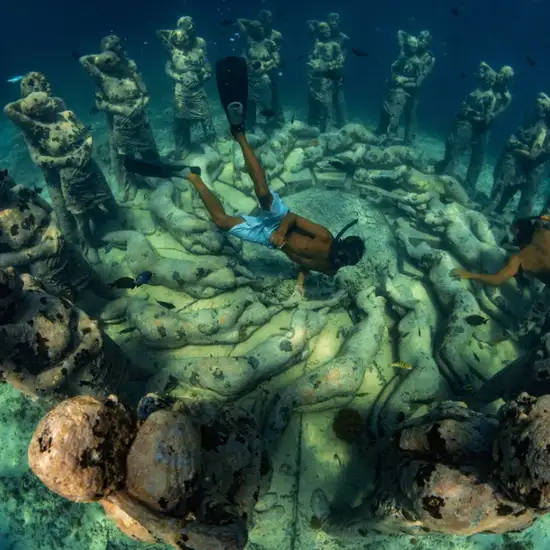 Image related to Snorkelling