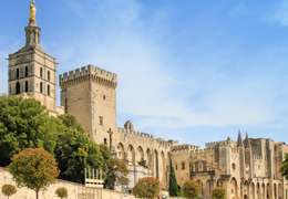 IgluCruise.Application.ViewModels.Shared.WebImageViewModel?.Description