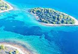 IgluCruise.Application.ViewModels.Shared.WebImageViewModel?.Description