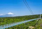 Tokyo - Mt. Fuji & Mishima Skywalk with Bullet Train