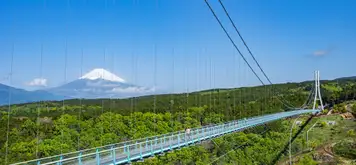 Image related to Tokyo - Mt. Fuji & Mishima Skywalk with Bullet Train