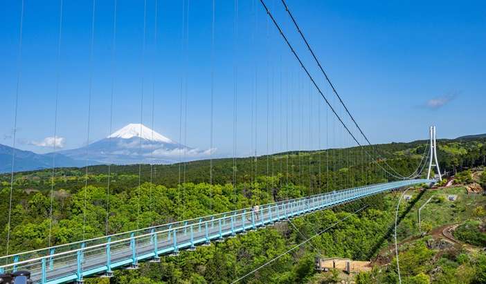 Tokyo - Mt. Fuji & Mishima Skywalk with Bullet Train