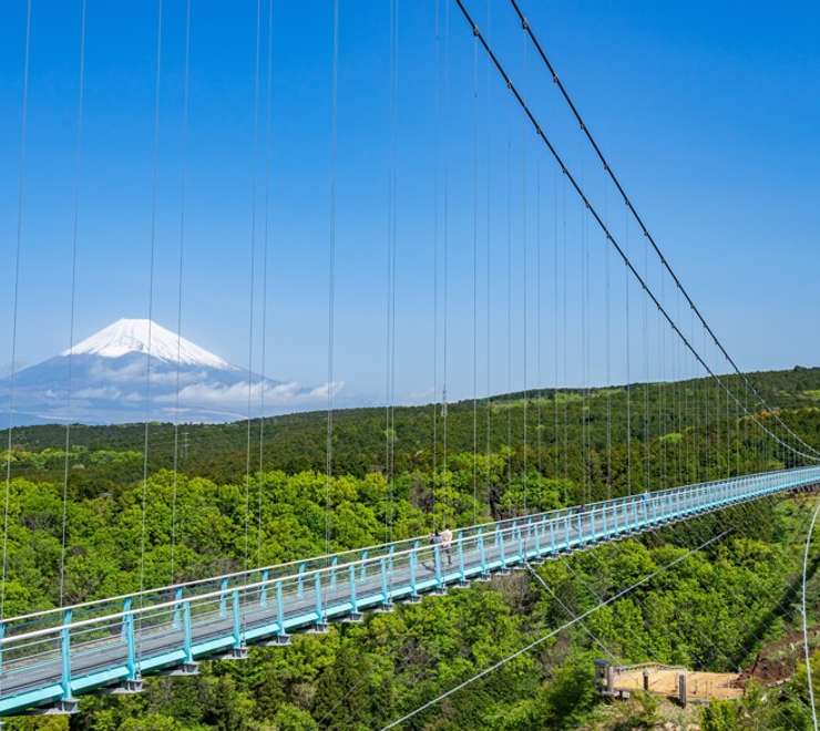 Tokyo - Mt. Fuji & Mishima Skywalk with Bullet Train
