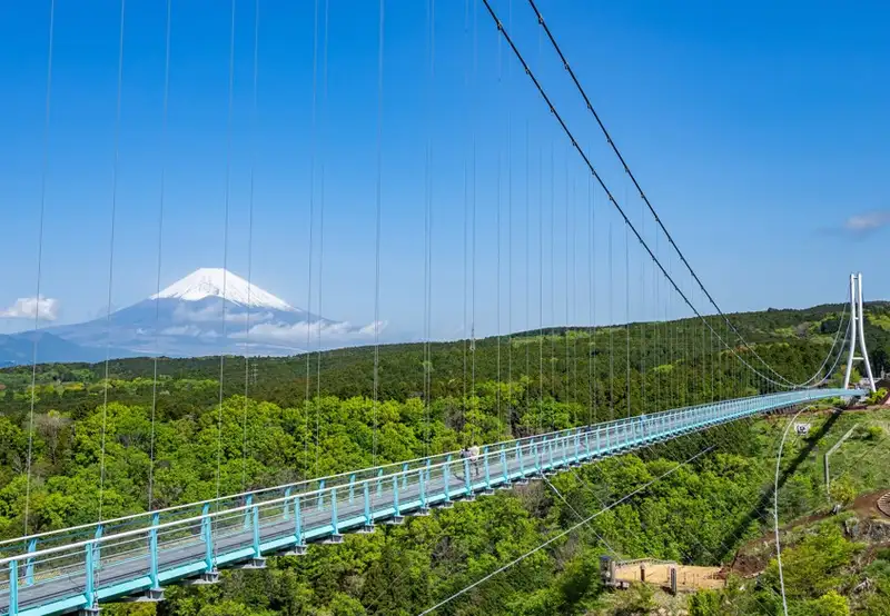 Tokyo - Mt. Fuji & Mishima Skywalk with Bullet Train