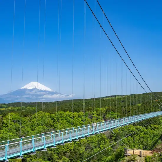 Image related to Tokyo - Mt. Fuji & Mishima Skywalk with Bullet Train