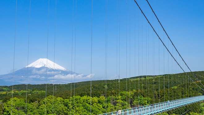 Tokyo - Mt. Fuji & Mishima Skywalk with Bullet Train