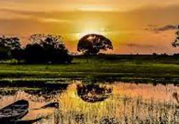 IgluCruise.Application.ViewModels.Shared.WebImageViewModel?.Description