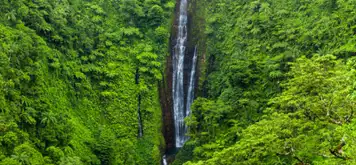 Image related to Papapapaitai Falls
