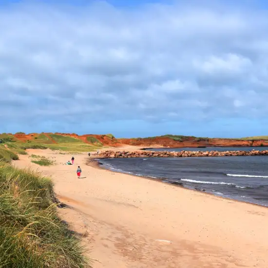 Image related to Plage de la Grande Échouerie