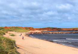 IgluCruise.Application.ViewModels.Shared.WebImageViewModel?.Description