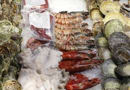 IgluCruise.Application.ViewModels.Shared.WebImageViewModel?.Description