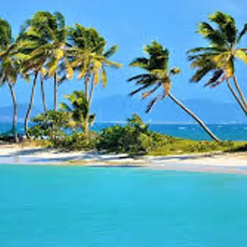 Image related to Relax at Saltwhistle Bay