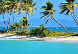 IgluCruise.Application.ViewModels.Shared.WebImageViewModel?.Description