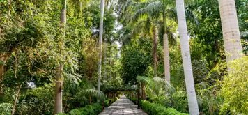 Image related to El Nabatat Island