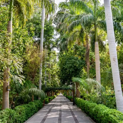 Image related to El Nabatat Island