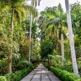 Image related to El Nabatat Island