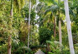 IgluCruise.Application.ViewModels.Shared.WebImageViewModel?.Description