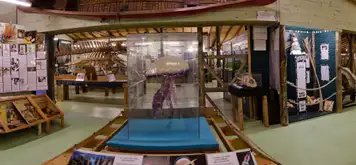 Image related to Museum of the Seas