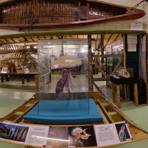 Image related to Image related to Museum of the Seas