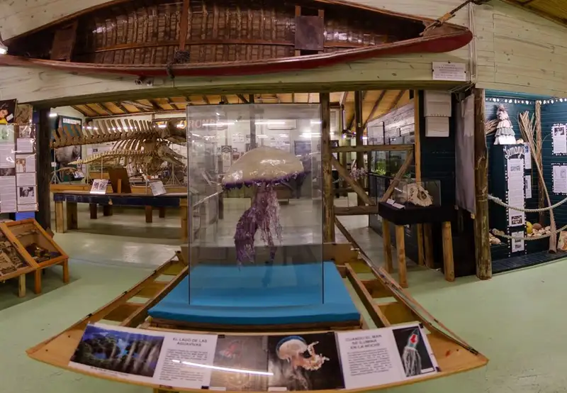 Image related to Museum of the Seas