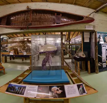 Image related to Museum of the Seas