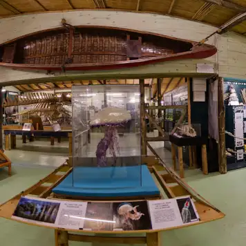 Image related to Museum of the Seas