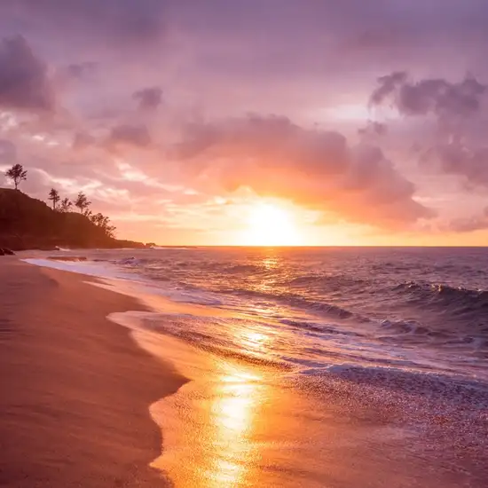 Image related to Laginha Beach