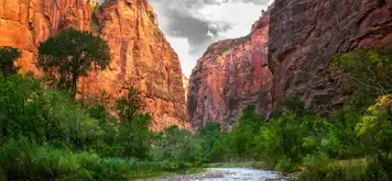 Image related to Bryce Canyon - Zion - Las Vegas