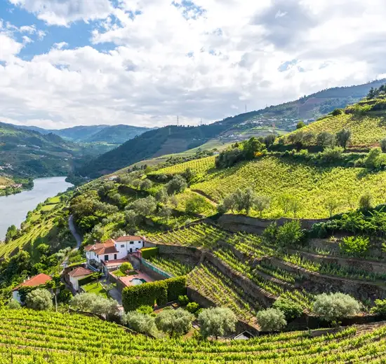 Image related to Vega de Terron - Overnight onboard