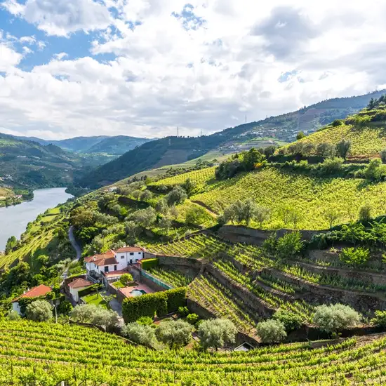 Image related to Vega de Terron