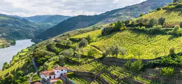 Image related to Vega de Terron - Overnight onboard