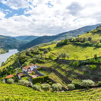 Image related to Vega de Terron