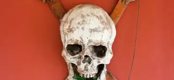 Image related to Fortaleza de San Felipe