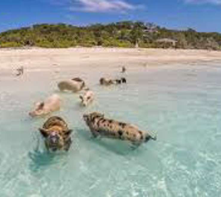 Exuma Island