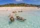 Exuma Island