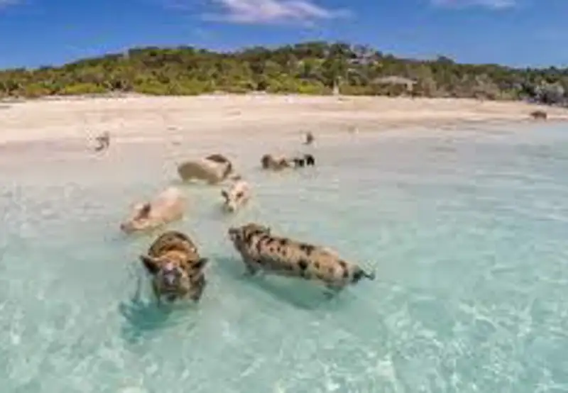 Exuma Island