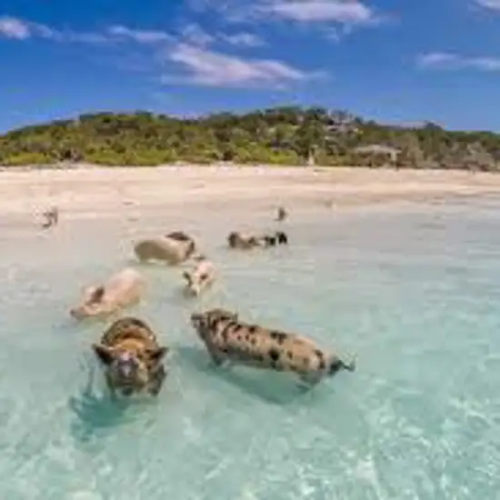 Image related to Exuma Island