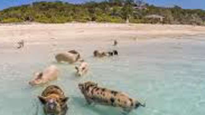 Exuma Island