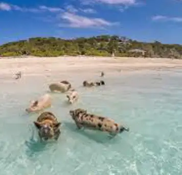 Exuma Island