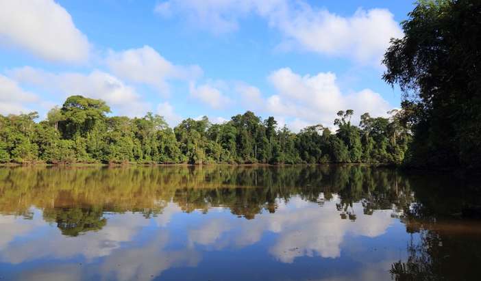 Early Morning Wildlife Boat Trip to Ox Bow Lake