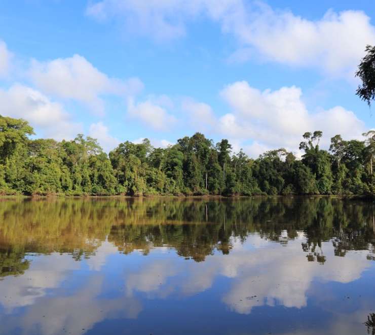 Early Morning Wildlife Boat Trip to Ox Bow Lake